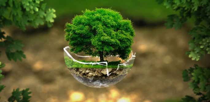 Eco-Friendly Laundry Practices You Need to Try